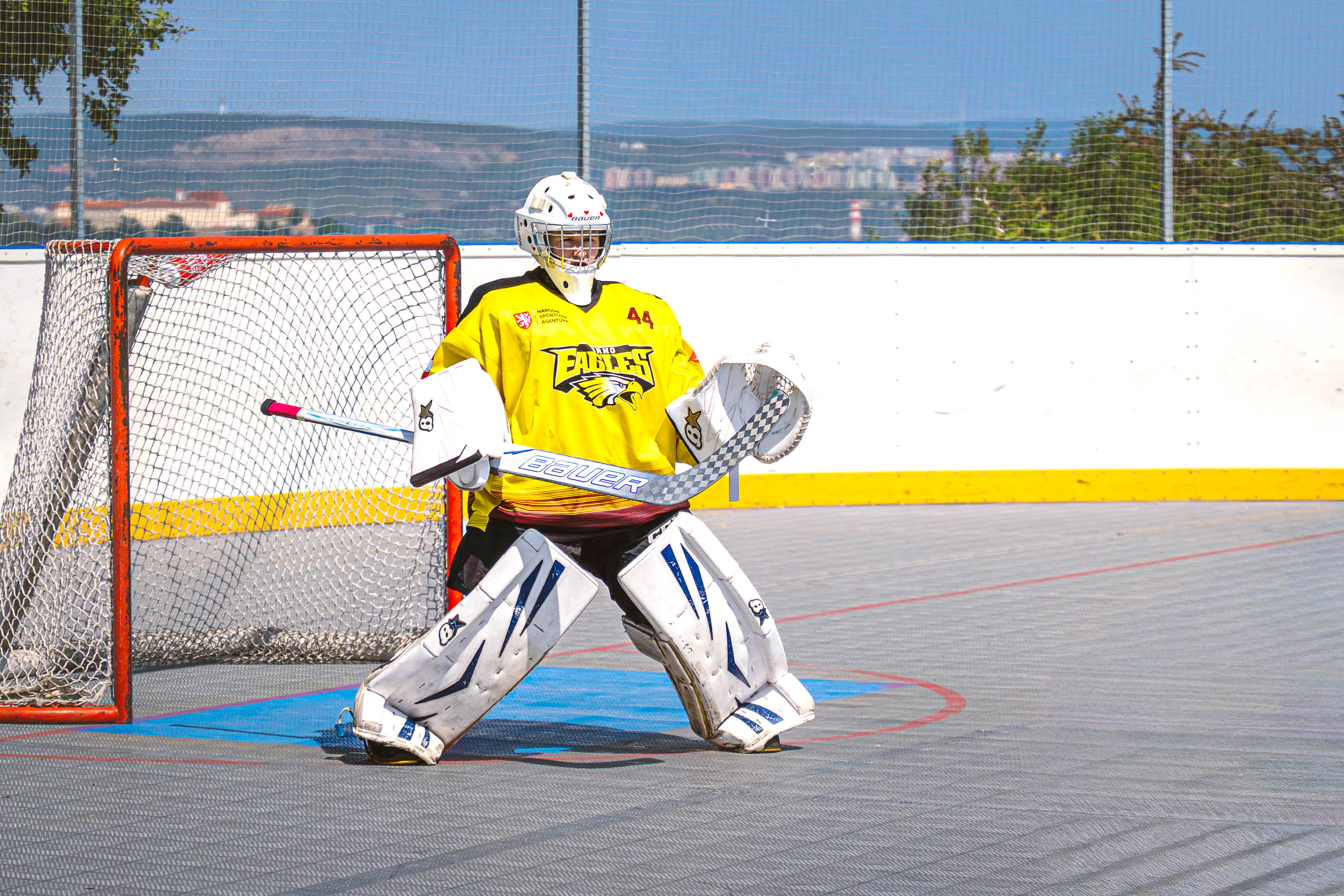 Brankář Eagles Brno