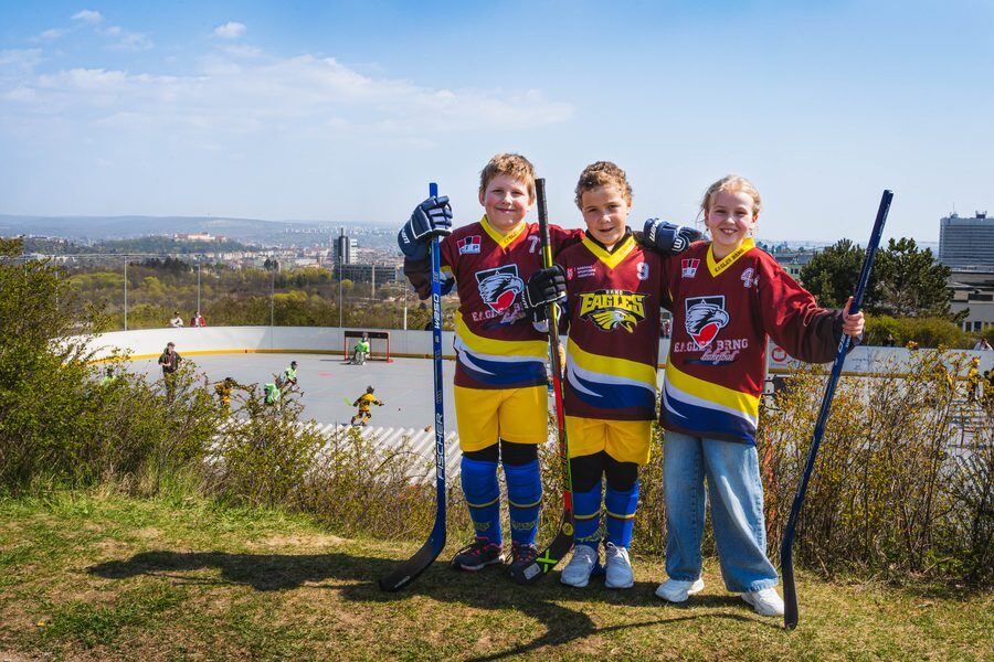 Panorama Brna